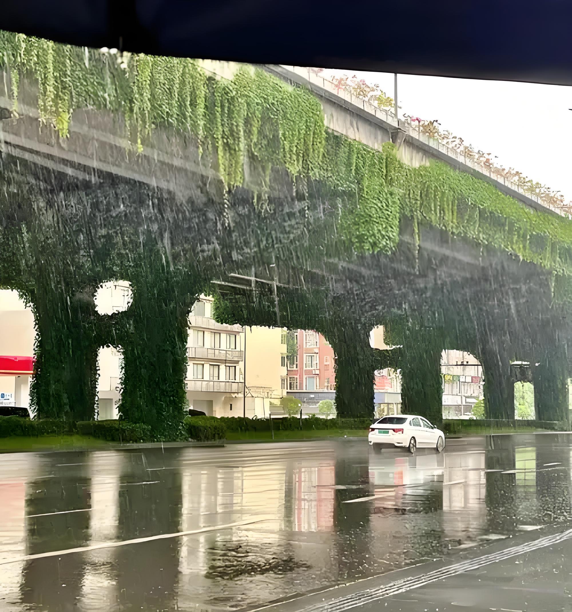 成都：疫情处快速上升阶段〃成都役情怎么样-第1张图片