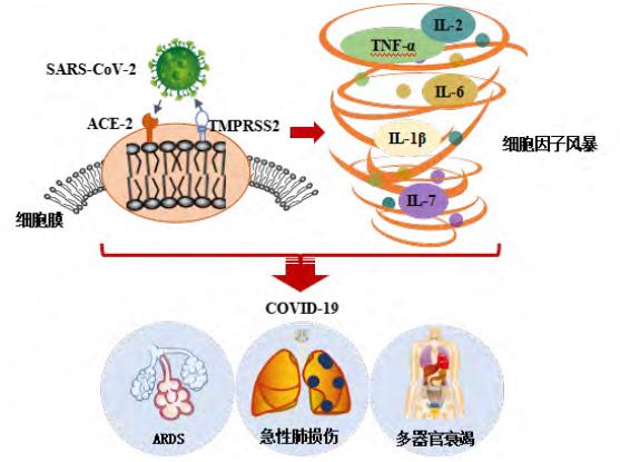 「新疆肺炎」〃新疆肺炎不排尿-第1张图片