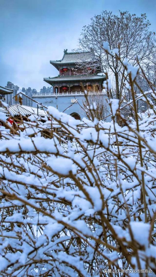 「天津一广场关联252例阳性」〃天津出现一例冠状病毒-第1张图片