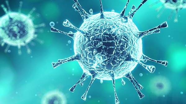 德尔塔毒株再变异-德尔塔毒株的变异位点是哪里