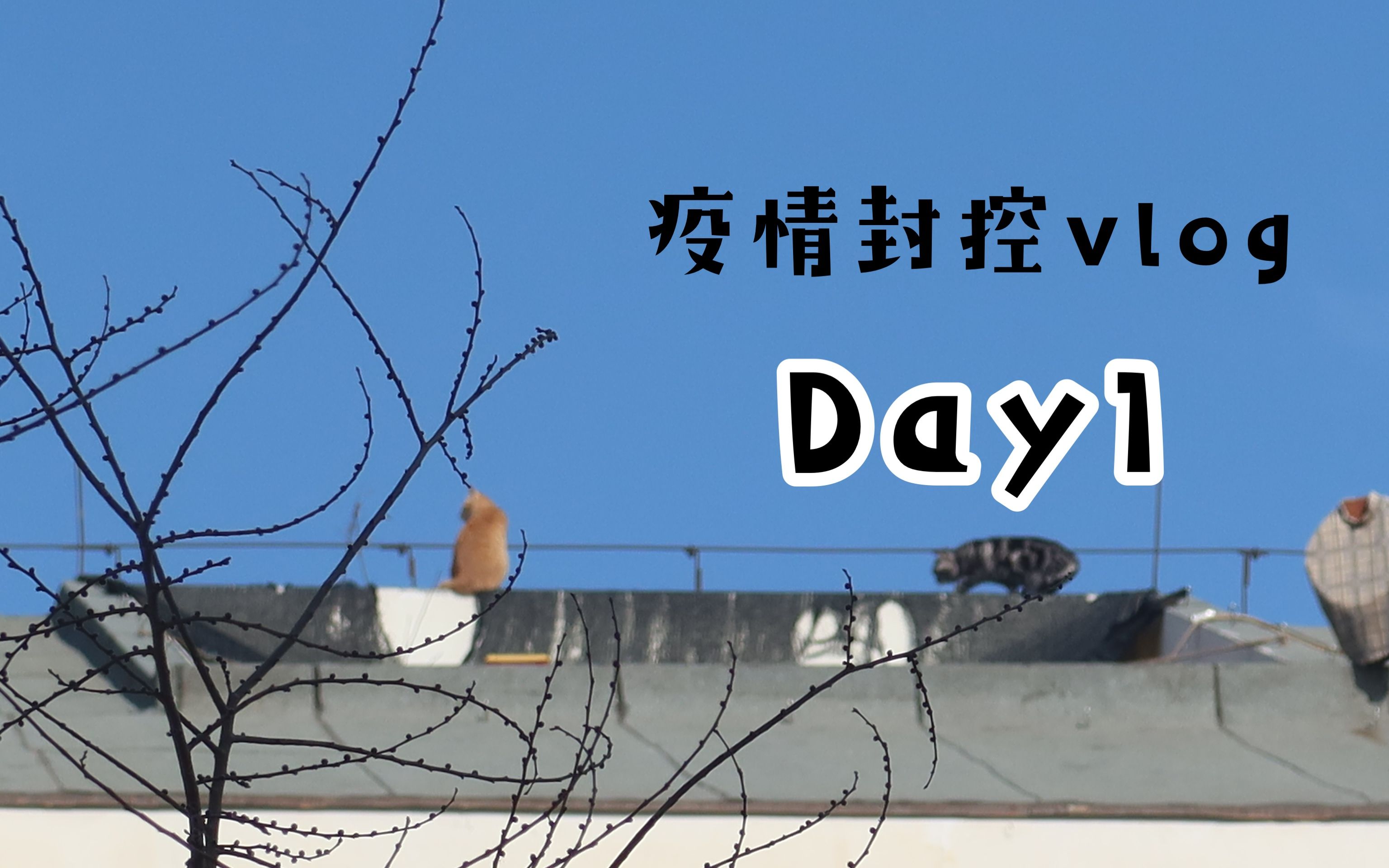 「西罗园一区疫情」〃西罗园一区封闭