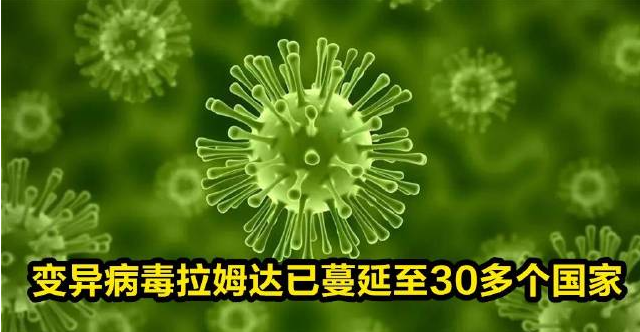 北京感染比广州更严重跟毒株有关?,北京病毒感染人数-第2张图片