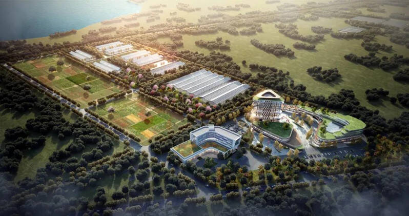 「青岛莱西市最新疫情」〃青岛莱西市最新疫情最新消息-第2张图片