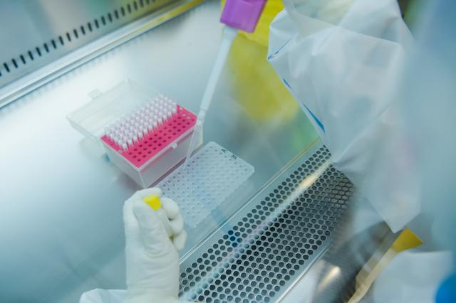 山东新增53例本土无症状者,山东疫情新增无症状-第3张图片