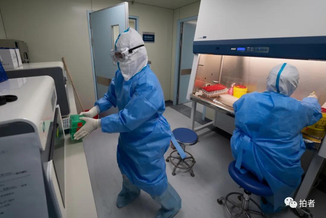 “北京核酸检测” 北京核酸检测公司？-第1张图片