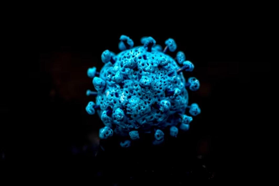 变异毒株在国内首次传播,变异毒株传播92国-第1张图片