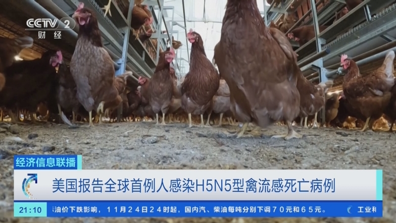 “美国新冠肺炎确诊超86万例” 美国新冠肺炎确诊病例超159万？-第3张图片