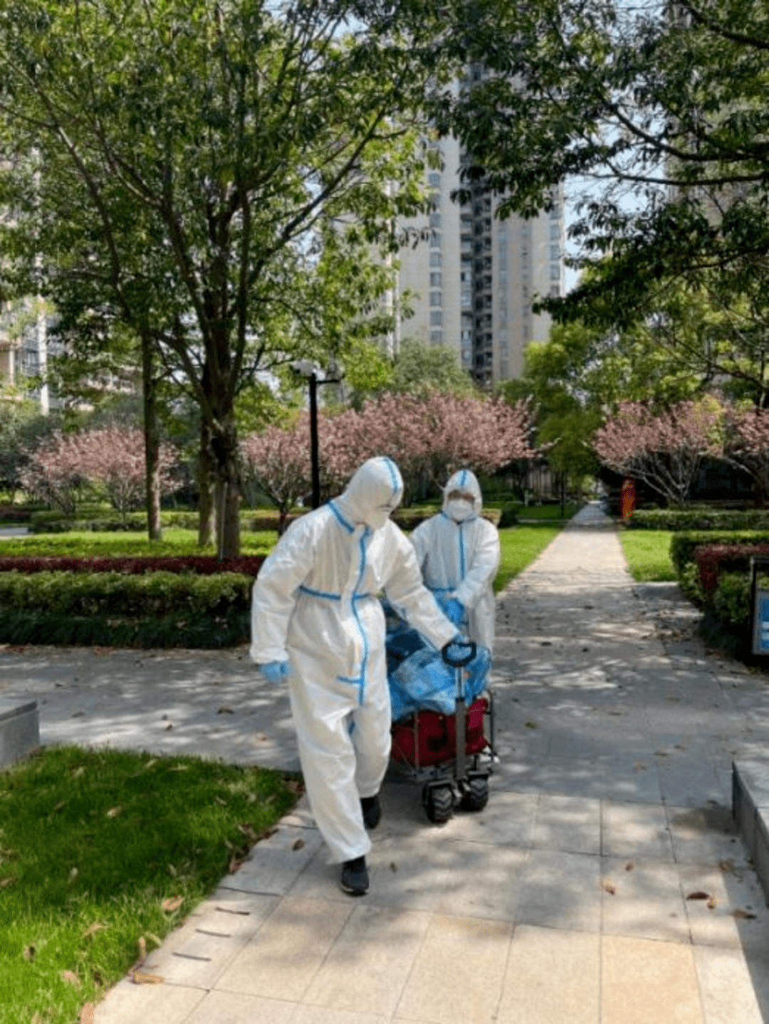 「上海全域静态管理全员核酸」〃上海 全民核酸-第1张图片