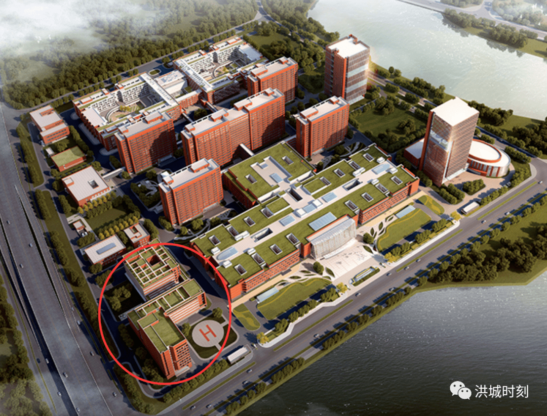 公共卫生二级响应-公共卫生一二三四级响应有什么区别-第3张图片