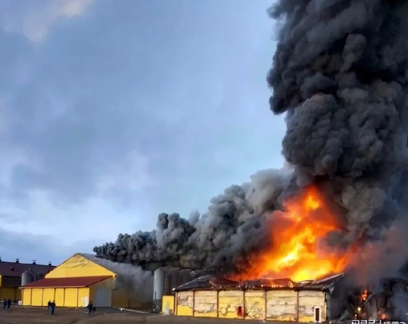 疫情新疆〃疫情新疆火灾