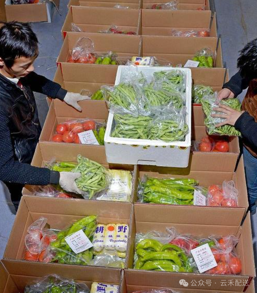 保定疫情〃保定疫情配送蔬菜-第2张图片