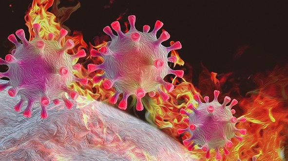 北京感染比广州更严重跟毒株有关?,北京病毒感染人数-第3张图片